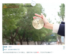 这个冬天,武汉最温暖的地方在哪里?